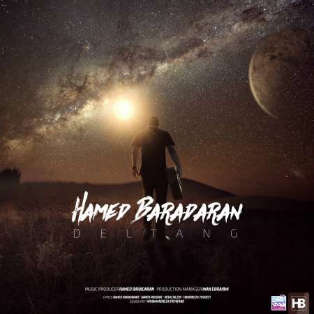 Hamed Baradaran – Deltang